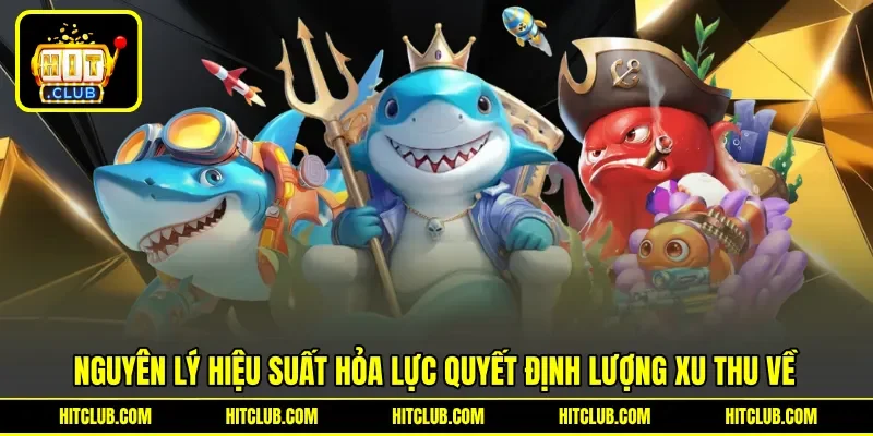 Nguyên lý hiệu suất hỏa lực quyết định lượng xu thu về